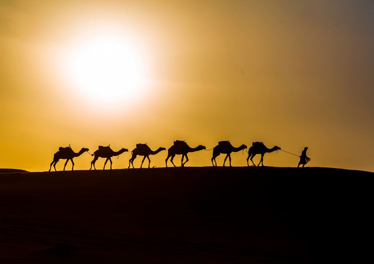 2-Day Zagora Desert Tour from Marrakech | Morocco Touristique - Best Morocco Tours & Travel Packages